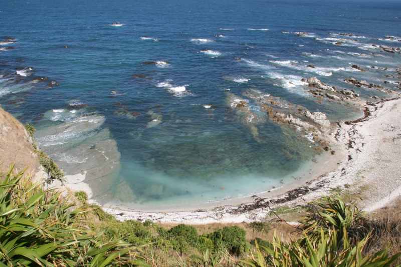 Nieuw-Zeeland 2011 - 1124